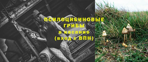 прущий лед Алексин