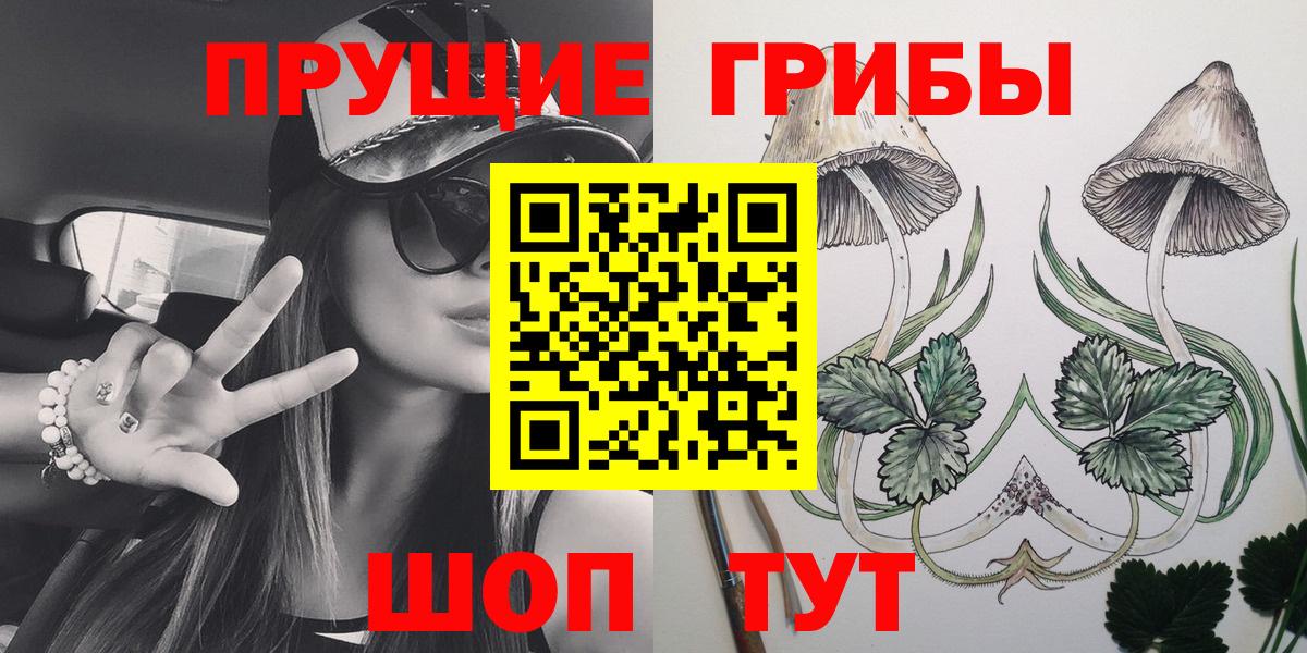 Псилоцибиновые грибы Psilocybe Старая Купавна